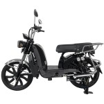 Factory 22 Inch Household Electric Bike 800W Delivery Dual Spring shock absorption Electric Motorcycle 60V Lithium Battery